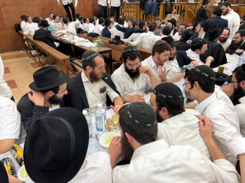 הגלריה השבועית - שבוע פרשת אמור ב-770